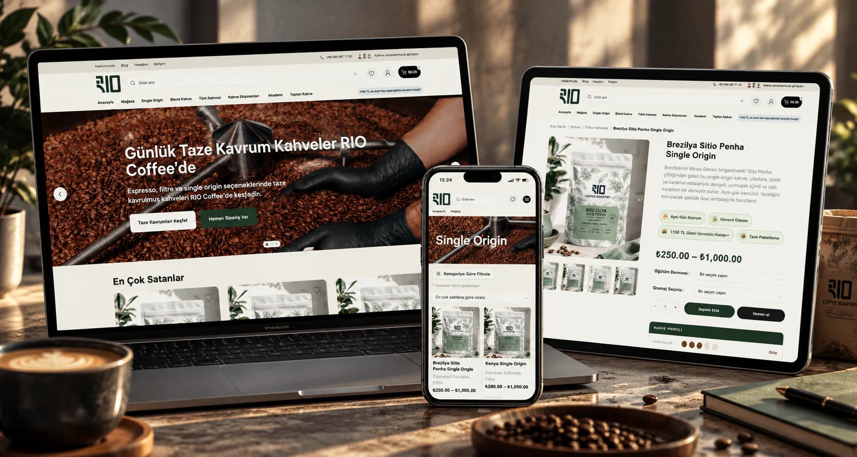 DigiRise web geliştirme projesi